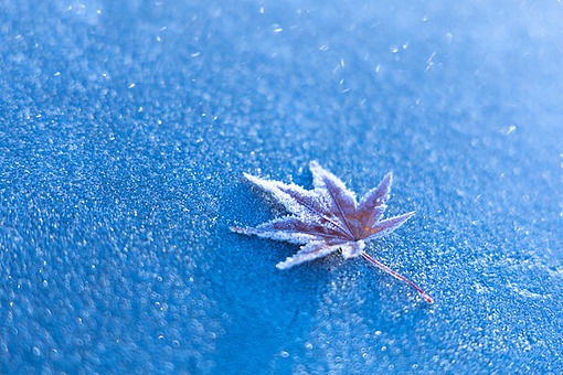 TODAY UPDATE_겨울 풍경