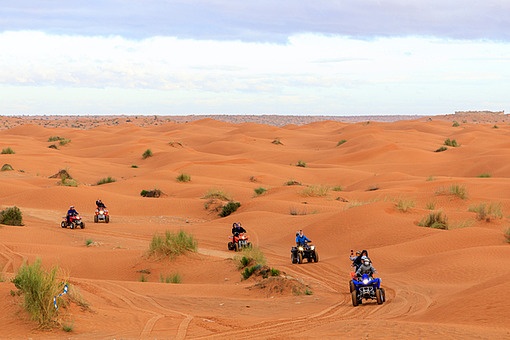 TODAY UPDATE_사막 투어