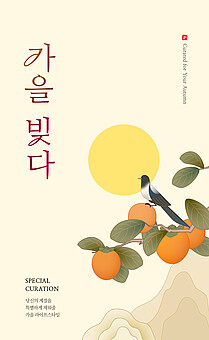 TODAY UPDATE_가을 큐레이션