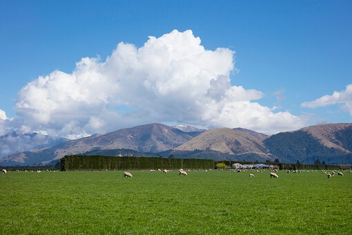 TODAY UPDATE_뉴질랜드