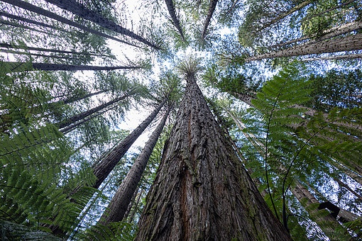 TODAY UPDATE_뉴질랜드