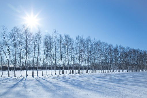 TODAY UPDATE_홋카이도