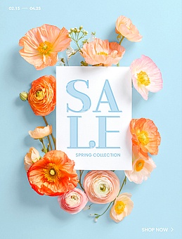 TODAY UPDATE_spring is coming